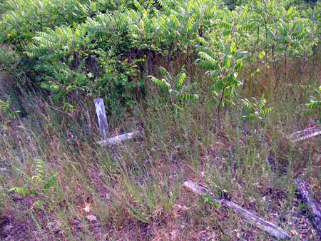Lakeshore Drive-In Theatre - Remnants - Photo From Water Winter Wonderland (newer photo)